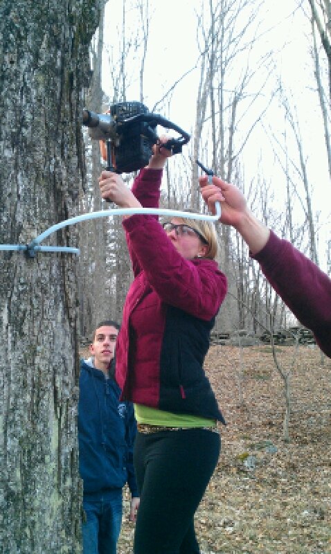 Syruping%202