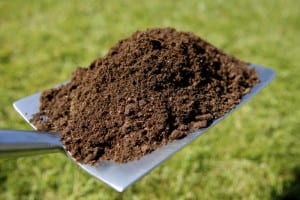 soil