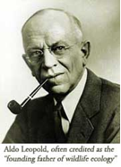 Leopold