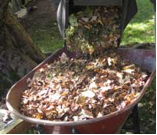 composting
