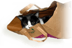 grocery bag