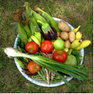 veggies