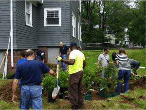 Hartford rain garden