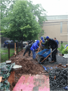 New Haven rain garden