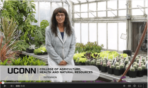 Centennial video